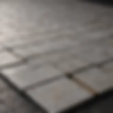 Ceramic Tiles and Their Thermal Insulation Applications Ceramic tiles demonstrating thermal insulation in construction