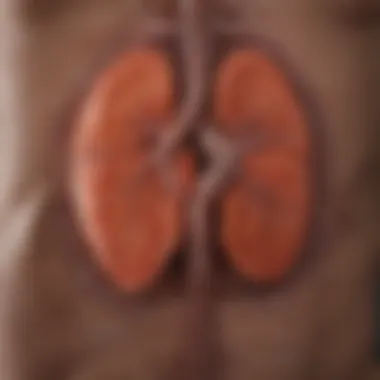 Symptoms of Kidney Disorders Flowchart of symptoms associated with kidney disorders