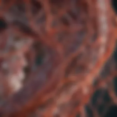 Pathological representation of amyloid deposits in tissue