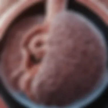 Advanced Imaging Techniques for Lung Nodules Advanced imaging techniques for lung nodule evaluation