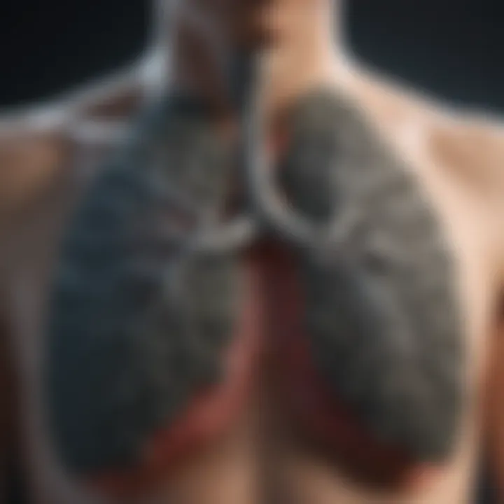 Illustration showing environmental elements impacting lung function