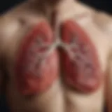 An artistic representation of the lungs as viewed in traditional Chinese medicine