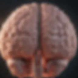 Illustration of brain activity affected by hormonal changes