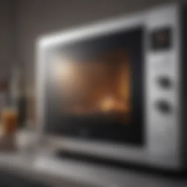 Microwave Applications in Technology Infographic detailing applications of microwaves in technology