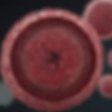 Detection Techniques for Myeloma Protein Overview of detection methods for myeloma protein