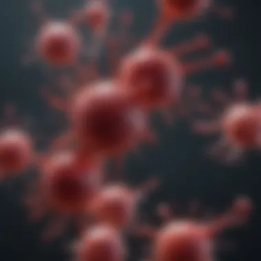 Pathogenesis of Multiple Myeloma Graphical representation of multiple myeloma pathogenesis