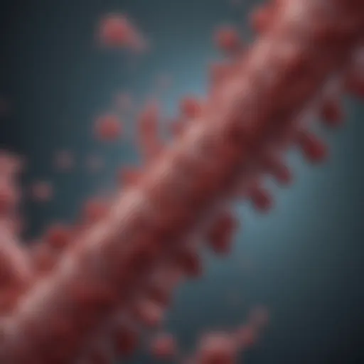 Structure of myeloma protein highlighting unique biochemical features