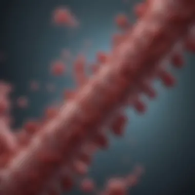 Biochemical Characteristics of Myeloma Protein Structure of myeloma protein highlighting unique biochemical features