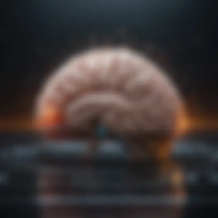 Brain activity during decision-making
