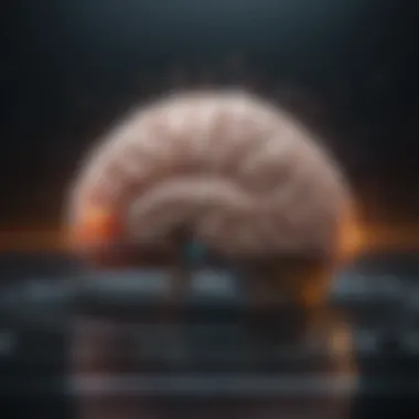 Brain Activity During Decision-Making Brain activity during decision-making