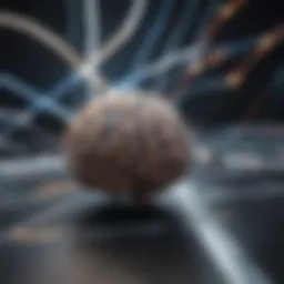 Neuroscience and leadership intersection