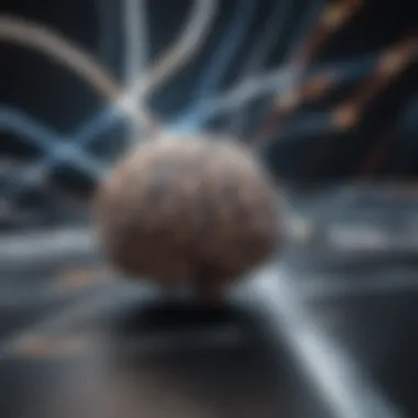 The Intersection of Neuroscience and Leadership Neuroscience and leadership intersection