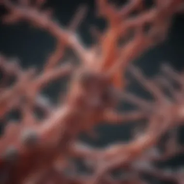 Amyloid Protein Accumulation in Neurological Tissues A detailed representation of amyloid protein accumulation in brain tissues