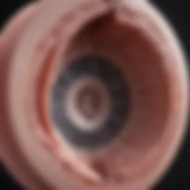 Diagram illustrating normal aortic valve gradient measurement