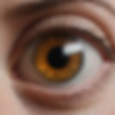 Implications of Abnormal Intraocular Pressure Chart depicting implications of abnormal intraocular pressure levels