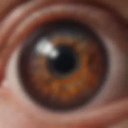Illustration depicting the anatomy of the eye with a focus on retinal layers affected by pigmentosa.