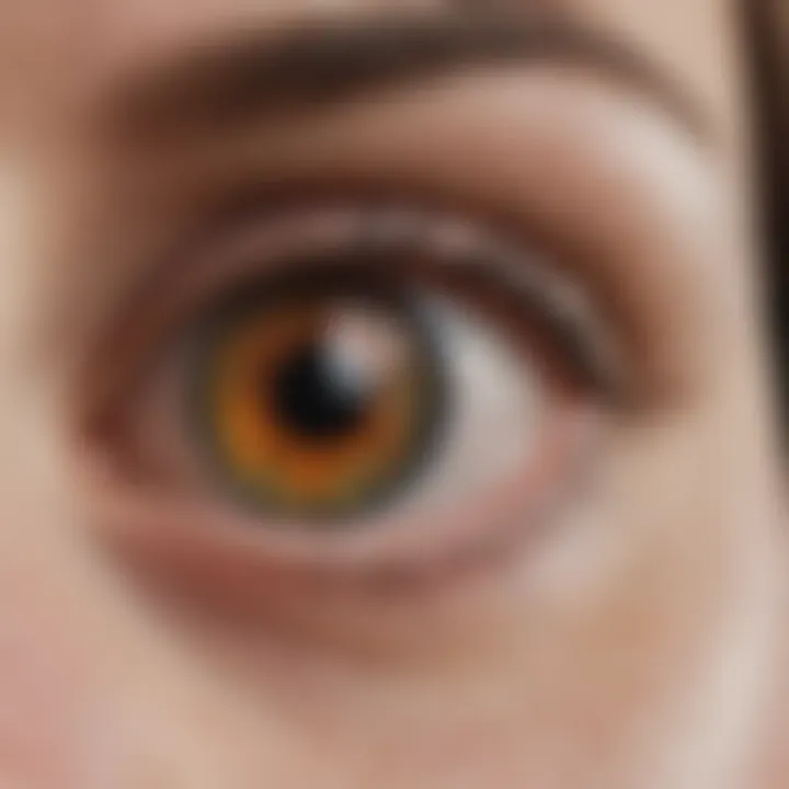 Chart illustrating various clinical manifestations of pigmentosa eye disorders.