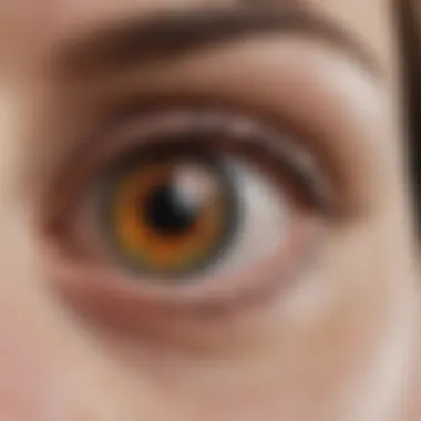 Clinical Manifestations of Pigmentosa Eye Chart illustrating various clinical manifestations of pigmentosa eye disorders.