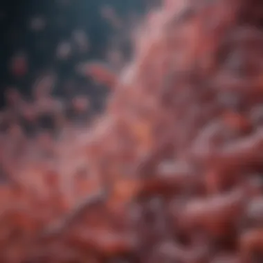 The Role of Beneficial Bacteria in Gut Health Visualization of beneficial bacteria in the gut