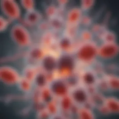Probiotics and Their Influence on the Immune System Illustration representing the immune system interaction with probiotics