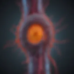 Diagram illustrating the metastatic pathways of prostate cancer