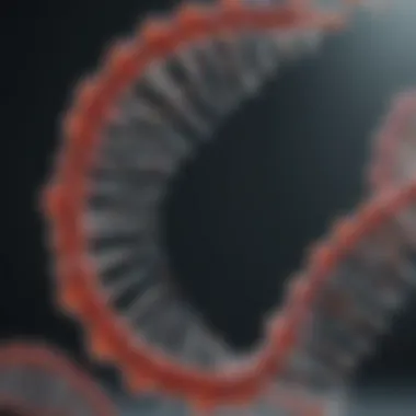 Mechanisms of Restriction Enzymes Visual representation of restriction enzymes and their action on DNA