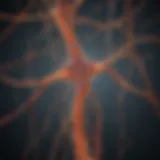 Neural pathways affected by multiple sclerosis