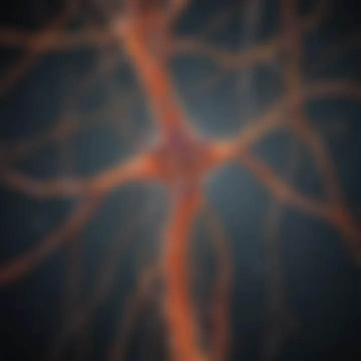 Neural pathways affected by multiple sclerosis