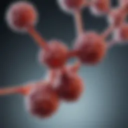 Diagram illustrating the biochemical structure of prostate-specific antigen.