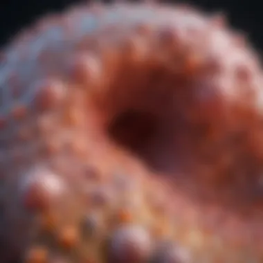 Squamous Cells in the Integumentary System Squamous cells in the integumentary system