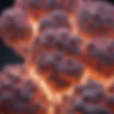 Clinical diagram of non-small cell lung cancer stages