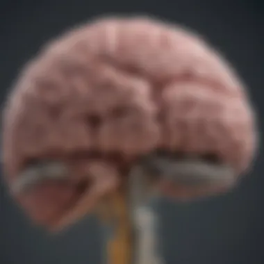 Complexity of Stage Three Brain Cancer Illustration depicting the complexity of stage three brain cancer