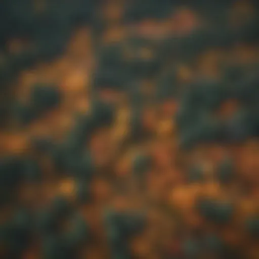 Aerial view of a lush boreal forest during autumn showcasing vibrant foliage