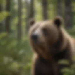 A brown bear in its natural habitat surrounded by lush greenery.