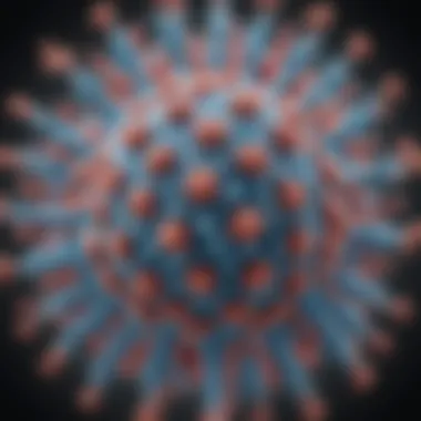 Influenza A Virus Structure Visual representation of Influenza A virus structure.