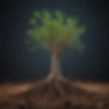 Roots in Formation: Early Growth Stage Roots developing from a germinated seed