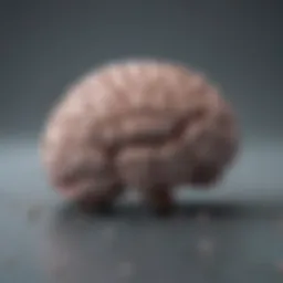 A brain depicting cognitive functions and processes