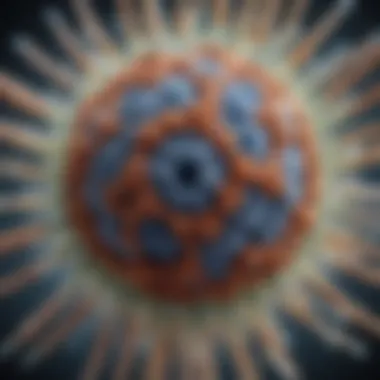 In-depth look at Type A influenza virus structure Virological structure of Type A influenza virus