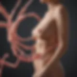 Conceptual illustration of uterine cancer risk factors