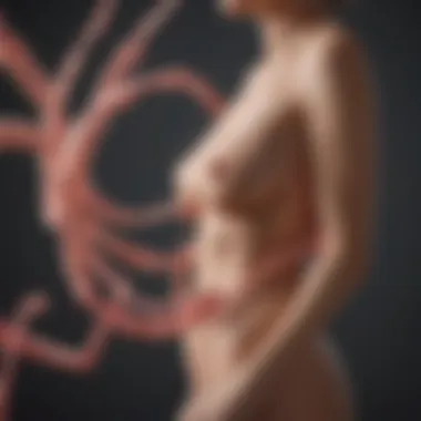 Conceptual illustration of uterine cancer risk factors