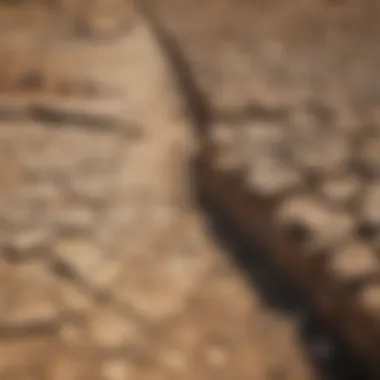 Drought: A Consequence of Insufficient Water Resources A cracked soil surface indicating drought