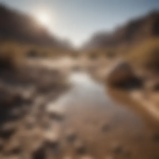 A dry riverbed symbolizing water scarcity