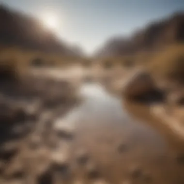 The Impact of Water Scarcity on Ecosystems A dry riverbed symbolizing water scarcity
