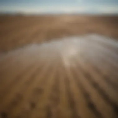 Irrigated agricultural fields juxtaposed with barren land