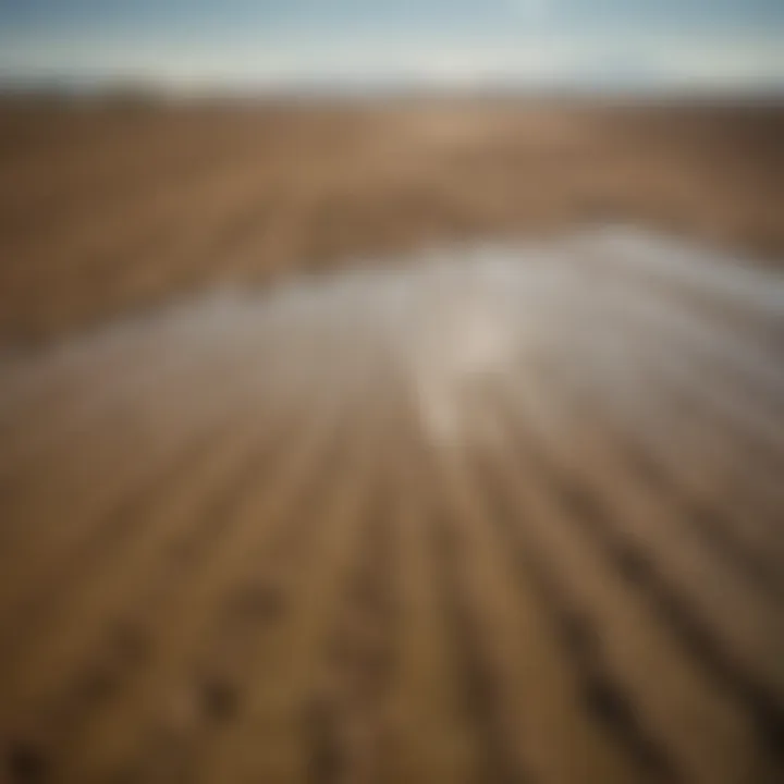 Irrigated agricultural fields juxtaposed with barren land