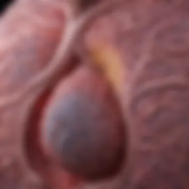 Comparative analysis of healthy and cancerous lung tissue