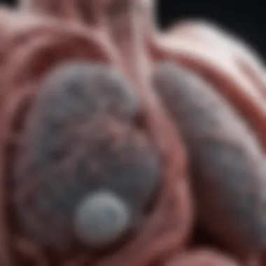 Radiographic view of lung cancer progression