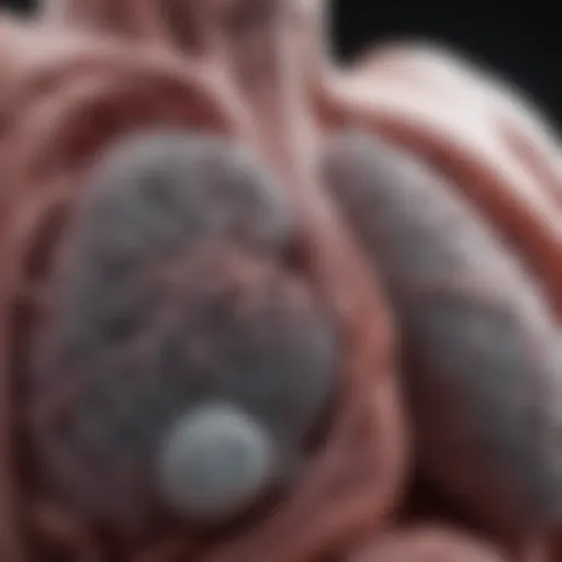 Radiographic view of lung cancer progression