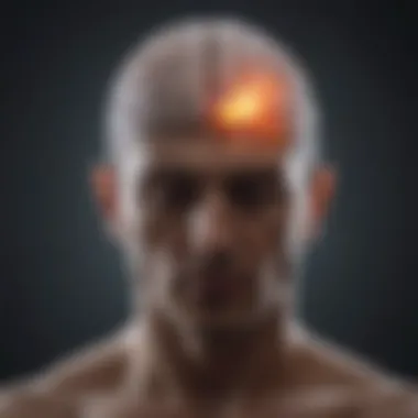 Meditation's Impact on Brain Structure Diagram illustrating changes in brain structure from meditation